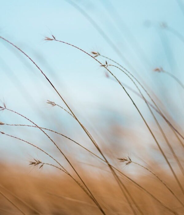 Photo Calm down corner